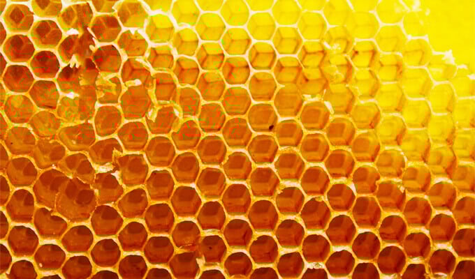 honeycomb (1) (1)